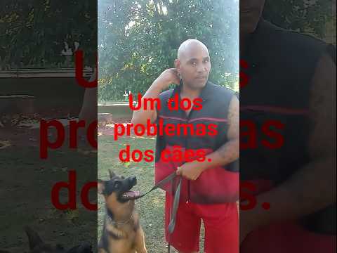Chamar o cachorro
