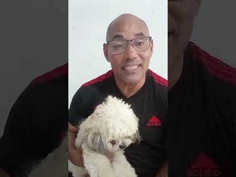 Orientações sobre comportamento