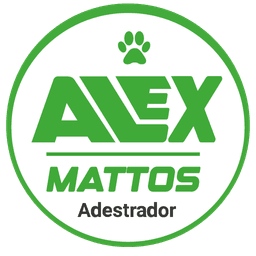 Alex Mattos Adestrador